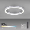 Paul Neuhaus PURE-LINES Lampa Sufitowa LED Srebrny, 1-punktowy, Zdalne sterowanie