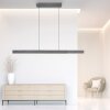 Paul Neuhaus PURE-MOTO-RISE Lampa Wisząca LED Szary, 3-punktowe, Zdalne sterowanie