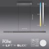 Paul Neuhaus PURE-MOTO-RISE Lampa Wisząca LED Szary, 3-punktowe, Zdalne sterowanie