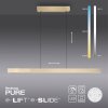 Paul Neuhaus PURE-MOTO-RISE Lampa Wisząca LED Złoty, 3-punktowe, Zdalne sterowanie