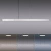 Paul Neuhaus PURE-MOTO-RISE Lampa Wisząca LED Srebrny, 3-punktowe, Zdalne sterowanie