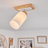 Represita Lampa Sufitowa Ecru, Biały, 1-punktowy