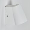 Swisher Zewnętrzny kinkiet LED Biały, 1-punktowy