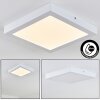 Leto Lampa Sufitowa zewnętrzna LED Biały, 1-punktowy