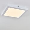 Leto Lampa Sufitowa zewnętrzna LED Biały, 1-punktowy