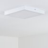 Leto Lampa Sufitowa zewnętrzna LED Biały, 1-punktowy