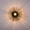 LeuchtenDirekt RACOON Lampa Sufitowa Czarny, 1-punktowy