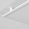 Crum Lampa Sufitowa LED Biały, 1-punktowy, Zdalne sterowanie