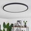 Hooper Lampa Sufitowa LED Czarny, 1-punktowy