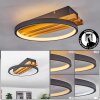 Rodekro Lampa Sufitowa LED Ecru, Czarny, 1-punktowy