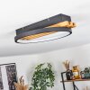Rodekro Lampa Sufitowa LED Ecru, Czarny, 1-punktowy