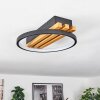 Rodekro Lampa Sufitowa LED Ecru, Czarny, 1-punktowy