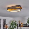Rodekro Lampa Sufitowa LED Ecru, Czarny, 1-punktowy
