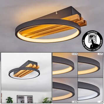 Rodekro Lampa Sufitowa LED Ecru, Czarny, 1-punktowy