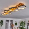 Rodekro Lampa Sufitowa LED Czarny, Biały, 1-punktowy