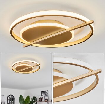 Evolene Lampa Sufitowa LED Złoty, 1-punktowy