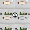 Hooper Lampa Sufitowa LED Czarny, 1-punktowy