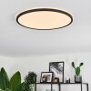 Hooper Lampa Sufitowa LED Czarny, 1-punktowy