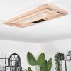 Surisultana Lampa Sufitowa LED Jasne drewno, 2-punktowe