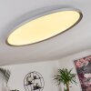 Kombito Lampa Sufitowa LED Srebrny, Biały, 1-punktowy, Zdalne sterowanie