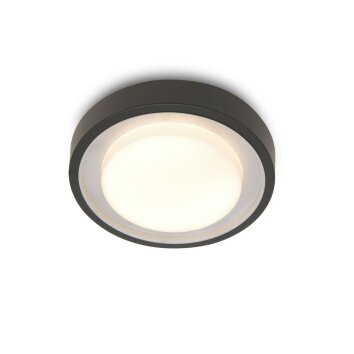 Lutec ORIGO Lampa Sufitowa LED Antracytowy, 1-punktowy, Zmieniacz kolorów