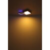 Globo JACKY Lampa Sufitowa LED Wygląd drewna, Czarny, 2-punktowe, Zdalne sterowanie, Zmieniacz kolorów