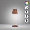 FHL easy Cosenza 2.0 lampka nocna LED Rdzawy, 1-punktowy, Zmieniacz kolorów