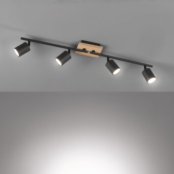 Fischer & Honsel Holton Lampa Sufitowa LED Czarny, 4-punktowe