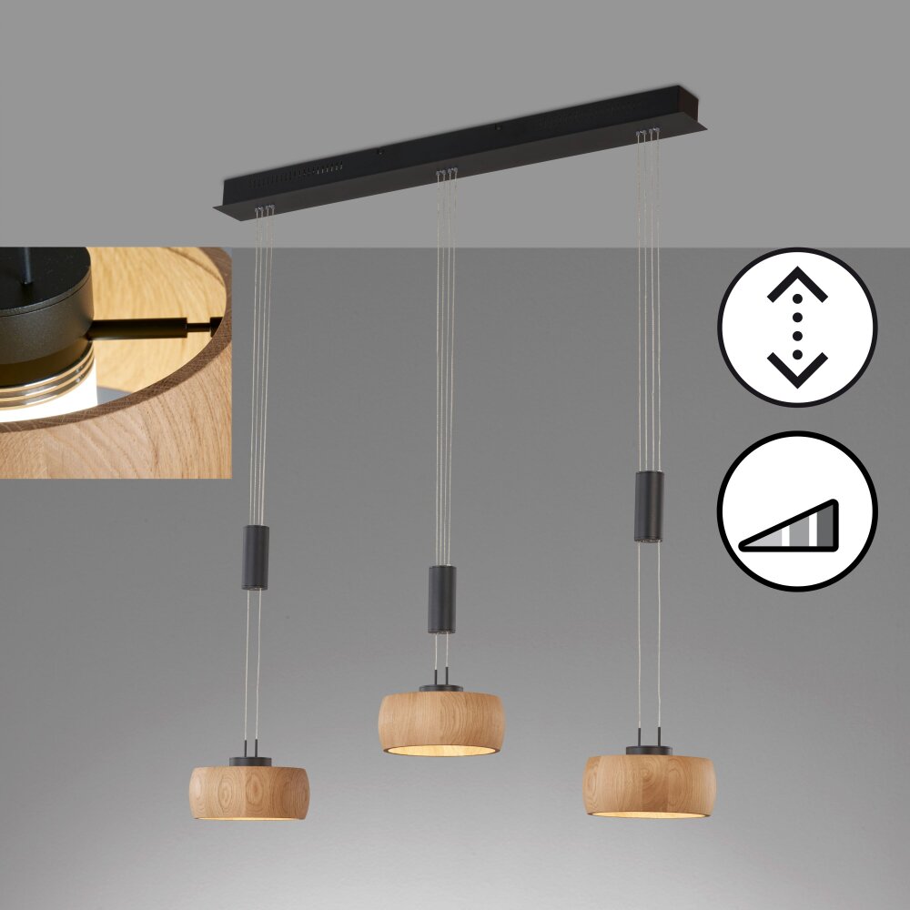 Fischer & Honsel SHINEWOOD Lampa Wisząca LED Czarny, 3-punktowe main product photo
