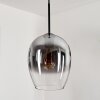 Vevino Lampa Wisząca Szkło 20 cm Przezroczysty, Przydymiony, 1-punktowy