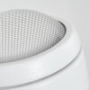 Borlo Zewnętrzny kinkiet LED Biały, 2-punktowe, Czujnik ruchu
