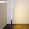 Mapleton Lampa Stojąca LED Nikiel matowy, 3-punktowe, Zdalne sterowanie