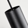 Rolle Lampa Wisząca LED Czarny, 1-punktowy