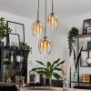 Vevino Lampa Wisząca Szkło 20cm bursztynowy, przezroczysty, 3-punktowe