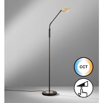 Fischer & Honsel Dent Lampa Stojąca LED Czarny, 1-punktowy