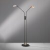 Fischer & Honsel Dent Lampa Stojąca LED Czarny, 2-punktowe
