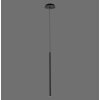 Paul Neuhaus FLUTE Lampa Wisząca LED Czarny, 1-punktowy