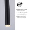 Paul Neuhaus FLUTE Lampa Wisząca LED Czarny, 1-punktowy