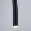 Paul Neuhaus FLUTE Lampa Wisząca LED Czarny, 1-punktowy