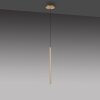 Paul Neuhaus FLUTE Lampa Wisząca LED Złoty, 1-punktowy