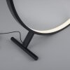 Paul Neuhaus HULA Lampa Stojąca LED Czarny, 1-punktowy, Zdalne sterowanie