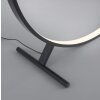 Paul Neuhaus HULA Lampa Stojąca LED Czarny, 1-punktowy, Zdalne sterowanie