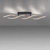 Paul Neuhaus POLINA Lampa Sufitowa LED Czarny, 1-punktowy