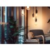 Philips Hue E27 LED 7 W 2100 Kelvin 550 lumenów