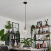 Vevino Lampa Wisząca Szkło 20cm Przezroczysty, 1-punktowy