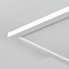 Vex Lampa Sufitowa LED Biały, 1-punktowy, Zdalne sterowanie