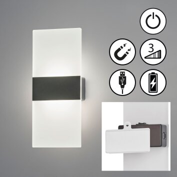 FHL easy Magnetics Lampa ścienna LED Czarny, 1-punktowy
