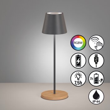 FHL easy Cosenza lampka nocna LED Szary, Ecru, 1-punktowy, Zmieniacz kolorów