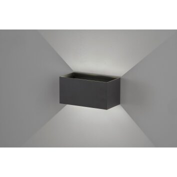 Fischer & Honsel Wallo Lampa ścienna LED Czarny, 4-punktowe