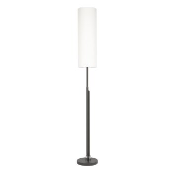 Coquimbito Lampa Stojąca LED Antracytowy, 2-punktowe